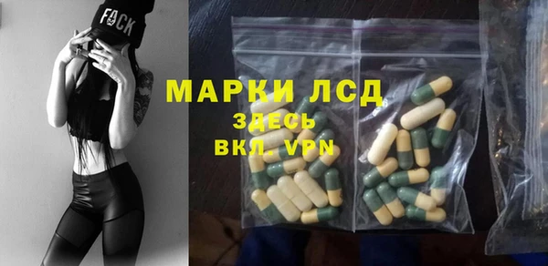 ГАЛЛЮЦИНОГЕННЫЕ ГРИБЫ Аркадак